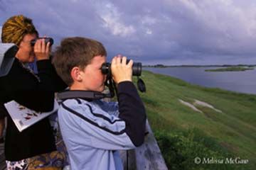 Alligator River National Wildlife Refuge