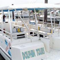 Paradise Dolphin Cruises, Gallery