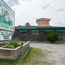 The Froggy Dog Restaurant & Pub, Gallery