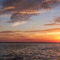 Paradise Dolphin Cruises, Outer Banks Cruises