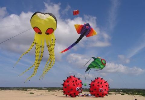 44th Annual Rogallo Kite Festival