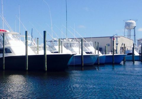 OBX Marina, Service Your Boat
