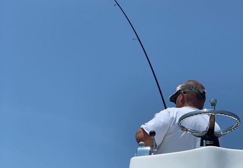 Offpoint Sportsfishing, Half Day Morning Charter