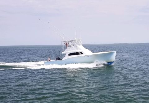 Cap'N B Fishing Charters, Inshore Fishing