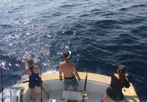 Fish Ocracoke, Half-Day Wreck Fishing Charter