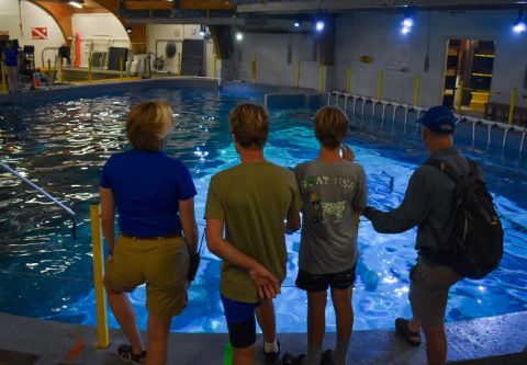 North Carolina Aquarium on Roanoke Island, Birthday Parties