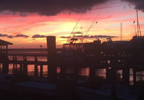 Fish Ocracoke, Sunset Cruise & Fishing Charter