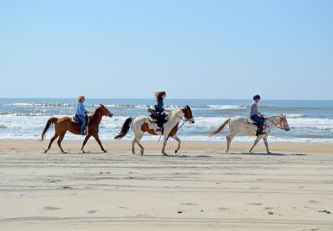 Kitty Hawk Kites, Hatteras Beach Horseback Riding Tours