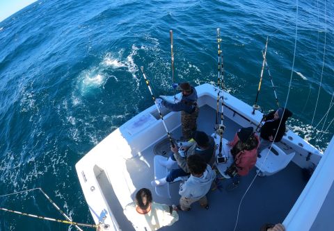 True Grit Sportfishing, Striper Fishing Charters
