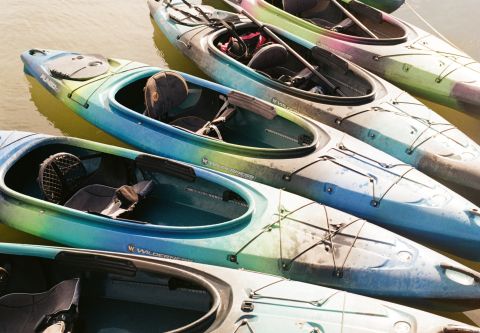 Kayaks, SUPs, Surfboard, Skimboards, and Bodyboards!