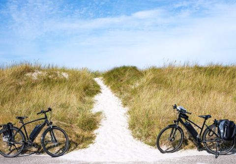 Kitty Hawk Kites, Electric Bike Rentals
