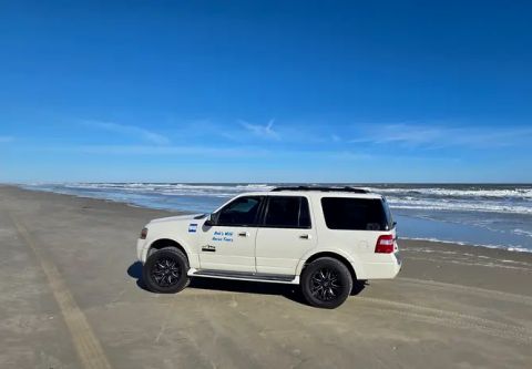 Bob's Corolla Wild Horse Tours, Enclosed SUV Wild Horse Tour (Winter)