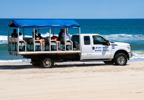 Bob's Corolla Wild Horse Tours, 4x4 Wild Horse Tours
