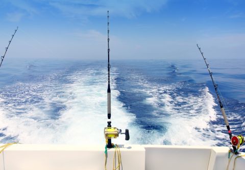 Kitty Hawk Kites, Off-Shore & In-Shore Fishing Charters