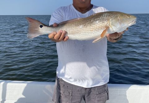 Offpoint Sportsfishing, 3/4 Day Charters