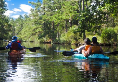 Kitty Hawk Kites, OBX Kayak Tours
