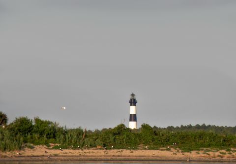 Paradise Dolphin Cruises, See Lighthouses by Boat