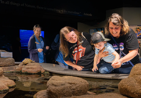North Carolina Aquarium on Roanoke Island, Become a Member