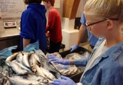 North Carolina Aquarium on Roanoke Island, Aquarist for a Day