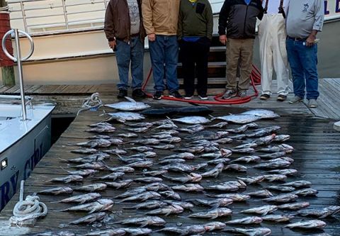 Country Girl Charters, Sea Bass Fishing Trip