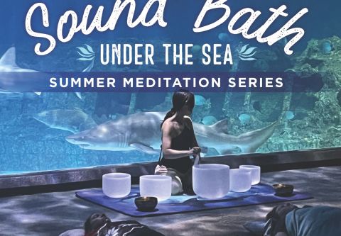 North Carolina Aquarium on Roanoke Island, Sound Bath Under the Sea: Meditation Session
