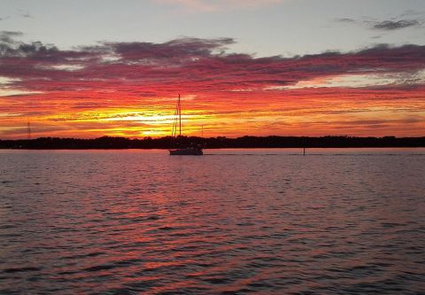 Captain Johnny’s Dolphin Tours, The Sunset Dolphin Watch