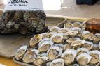 The Lost Colony, Win 2 Tickets to Roanoke Island Oyster Shellabration & BBQ