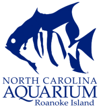 North Carolina Aquarium on Roanoke Island