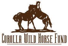 Corolla Wild Horse Fund