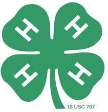 Dare County 4-H