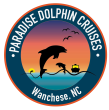 Paradise Dolphin Cruises