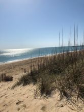 Ocean and Beach Grass