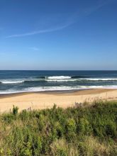 Ocean Waves and Sea Grass