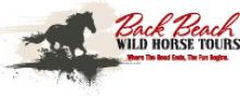 Back Beach Wild Horse Tours Back Beach Wild Horse Tours