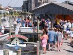 Day at the Docks