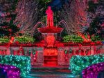 WinterLights