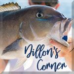 Dillon’s Corner