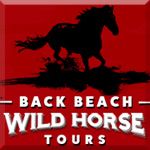 Back Beach Wild Horse Tours