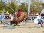 Currituck Heritage Bulls & BBQ