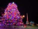 Manteo Tree Lighting
