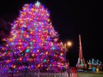 Manteo Tree Lighting