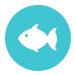 Fishing Reports | TW's Bait & Tackle | Outer Banks, NC