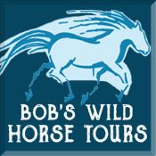 bob's wild horse tour coupon
